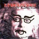 X-Sinner - Angry Einsteins